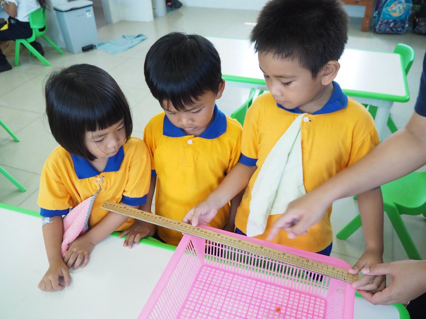 เด็กอนุบาล 2 ช่วยกันทำงานสานบนแผ่นตะแกรง เรียนรู้การทำงานร่วมกับเพื่อน